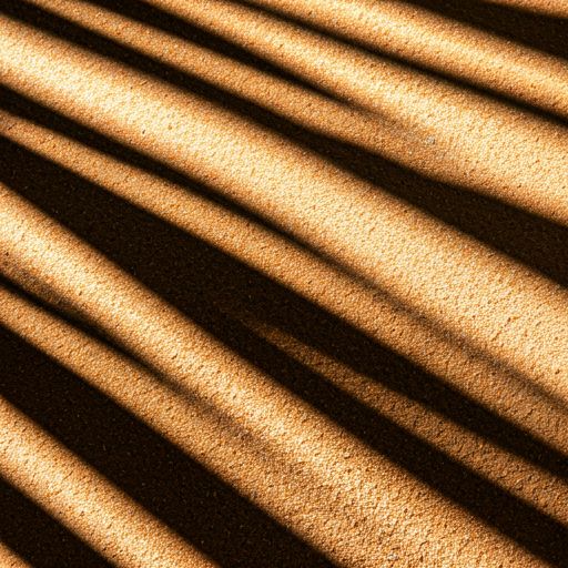 Sand ripples — surface texture and cellular turnover